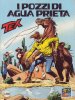 TEX Gigante 2a serie  n.453 - I pozzi di Agua Prieta