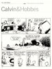 Calvin & Hobbes