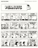 Peanuts