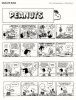 Peanuts