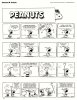 Peanuts