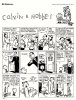 Calvin & Hobbes