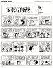 Peanuts