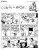 Calvin & Hobbes