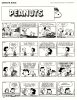 Peanuts