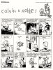 Calvin & Hobbes