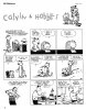 Calvin & Hobbes