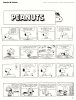 Peanuts