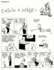 Calvin & Hobbes