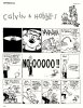 Calvin & Hobbes