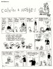 Calvin & Hobbes